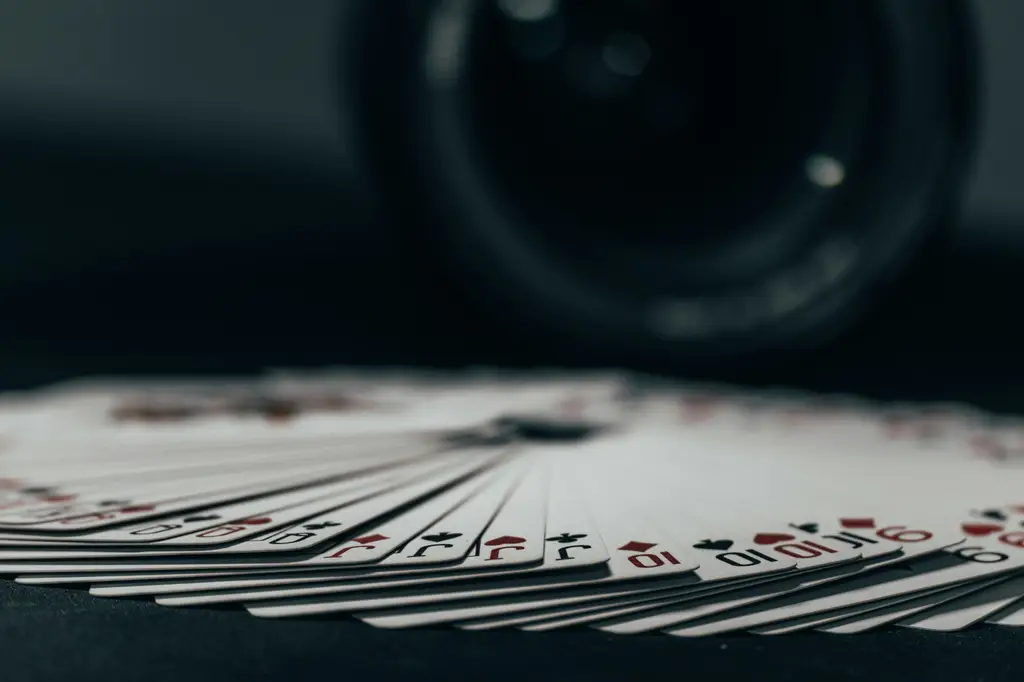 539直播號碼：掌握運彩致富的關鍵