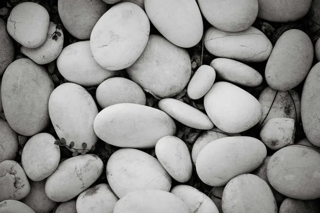 台灣威力彩開獎盛況：千萬夢想的終極時刻