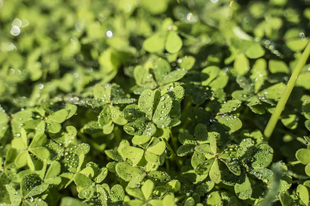 Yahoo奇摩臺灣彩券：小資族發財夢的起點